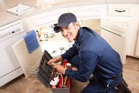 Best Pipe Inspections and Diagnostics  in USA